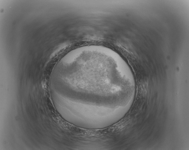 X0000084601254200703021616