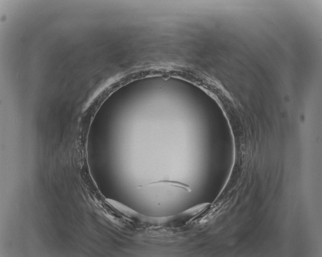 X0000084601256200703021616