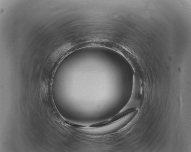 X0000084601257200703021616