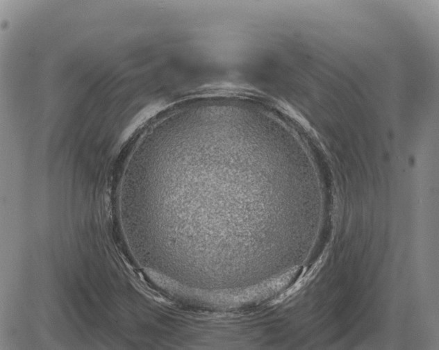 X0000084601259200703021616