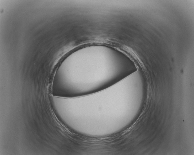 X0000084601260200703021616