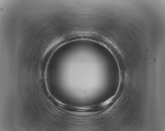 X0000084601261200703021616