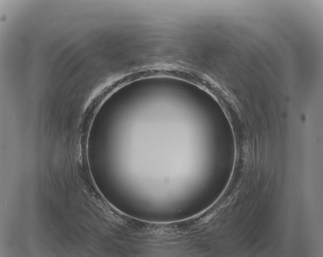 X0000084601262200703021616