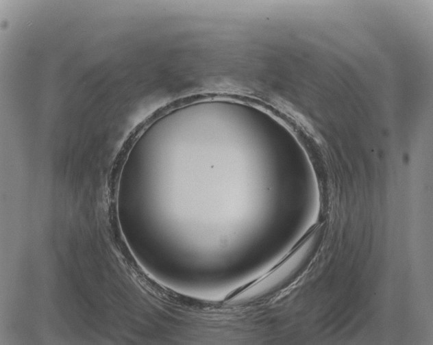 X0000084601264200703021616