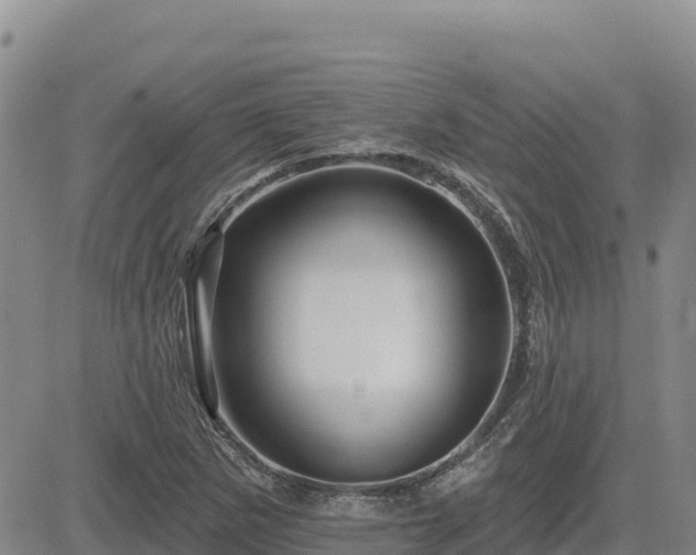 X0000084601265200703021616