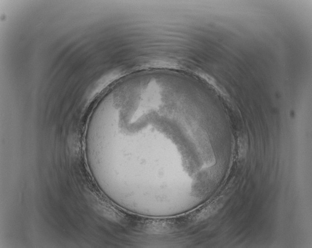 X0000084601266200703021616