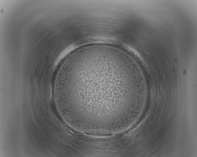 X0000084601267200703021616