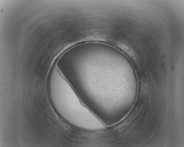 X0000084601268200703021616