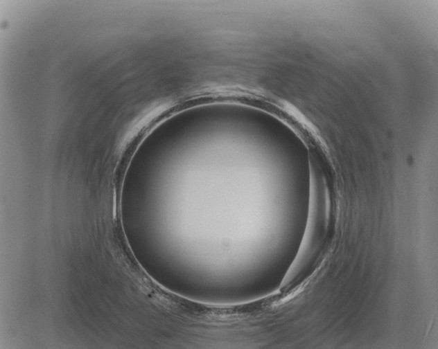 X0000084601269200703021616