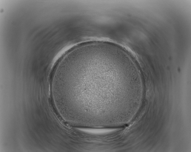 X0000084601271200703021616