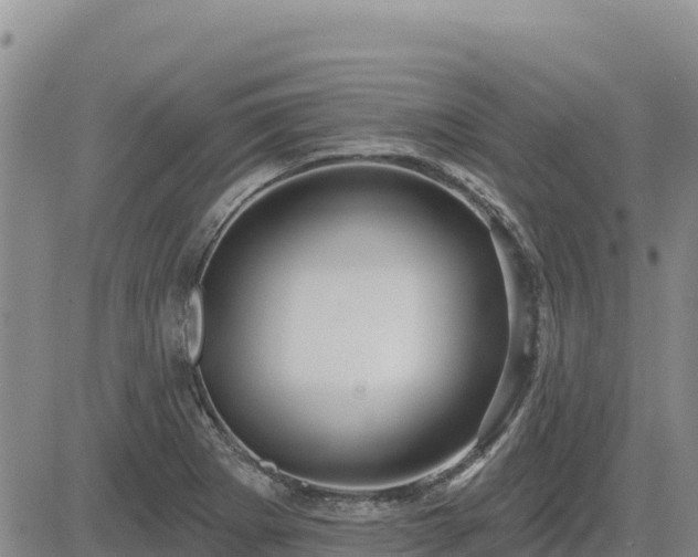 X0000084601273200703021615