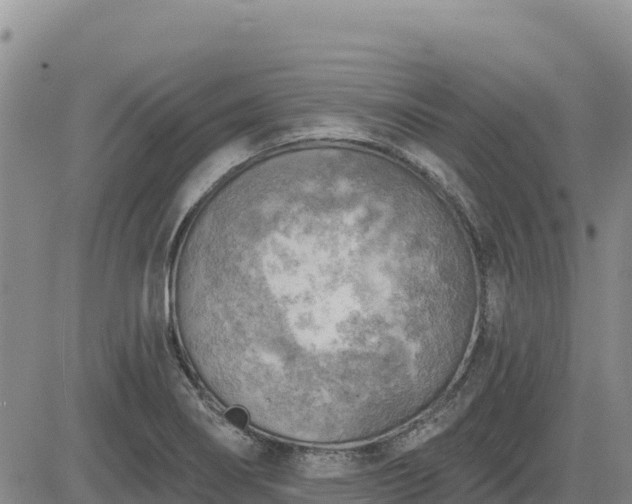 X0000084601274200703021615