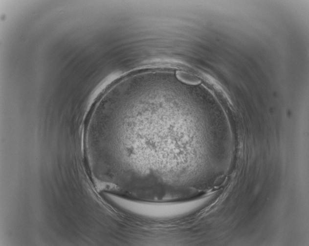 X0000084601275200703021615