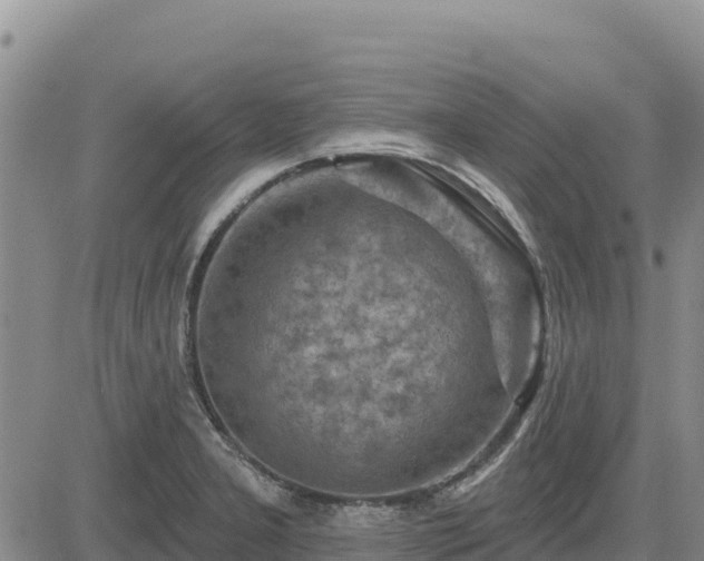 X0000084601277200703021615