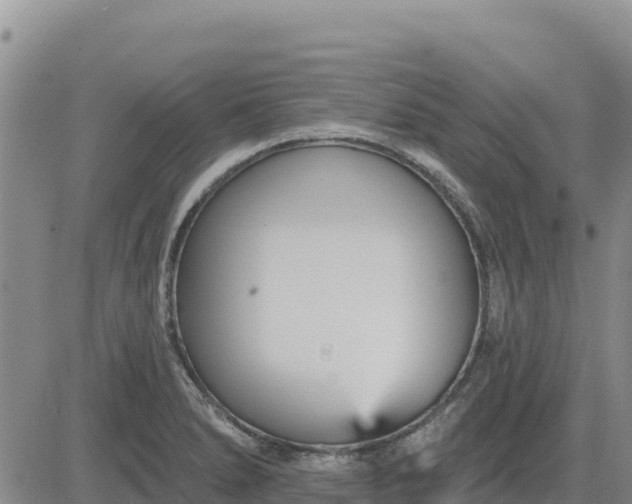 X0000084601278200703021615