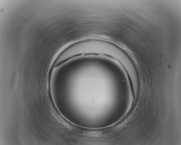 X0000084601280200703021615