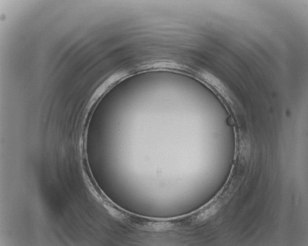 X0000084601282200703021615