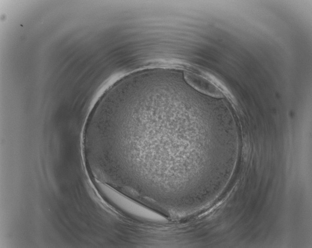 X0000084601283200703021615