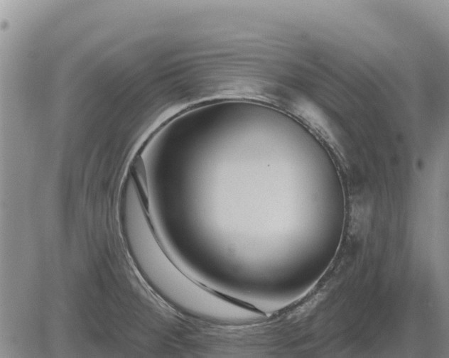 X0000084601284200703021615