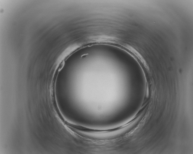 X0000084601285200703021615