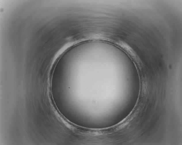 X0000084601286200703021615