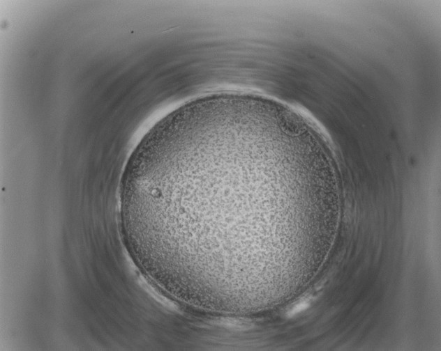 X0000084601287200703021615