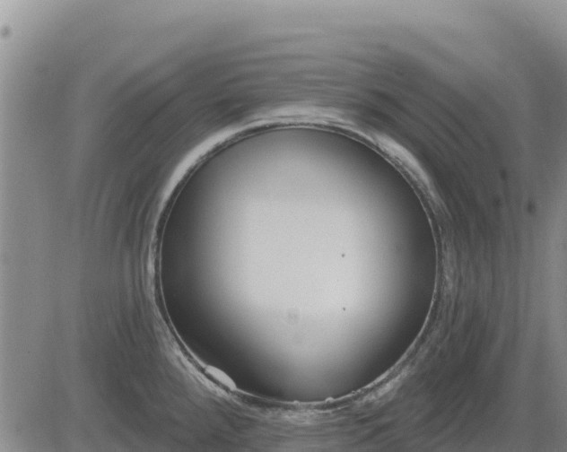 X0000084601288200703021615