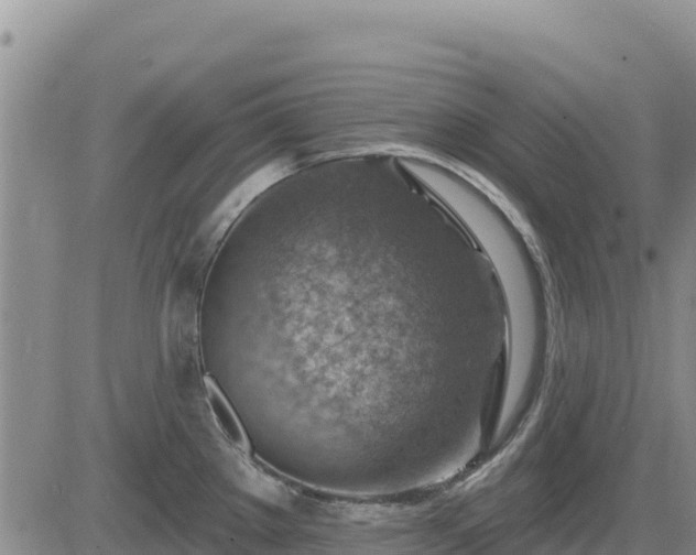 X0000084601289200703021615