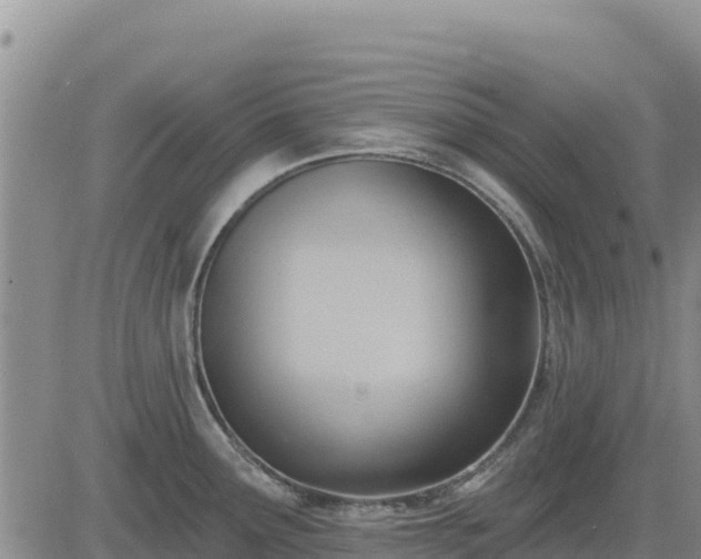 X0000084601291200703021615