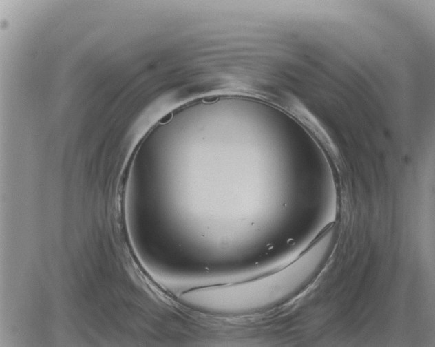 X0000084601292200703021615