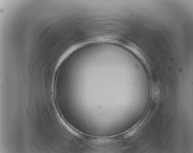 X0000084601294200703021615