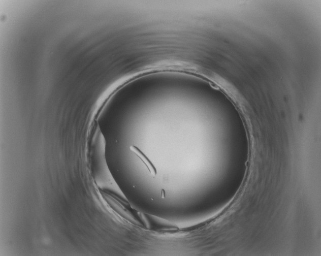 X0000084601296200703021615