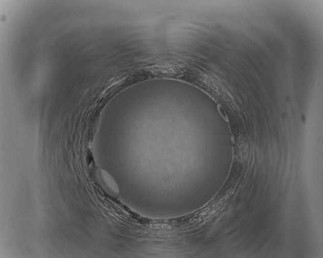 X0000084601297200703021614