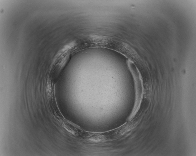 X0000084601298200703021614