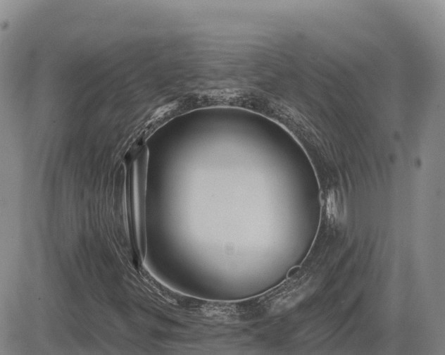 X0000084601299200703021614