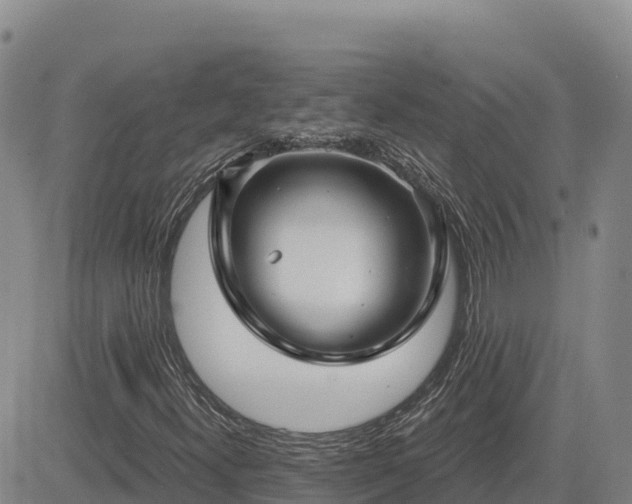 X0000084601300200703021614