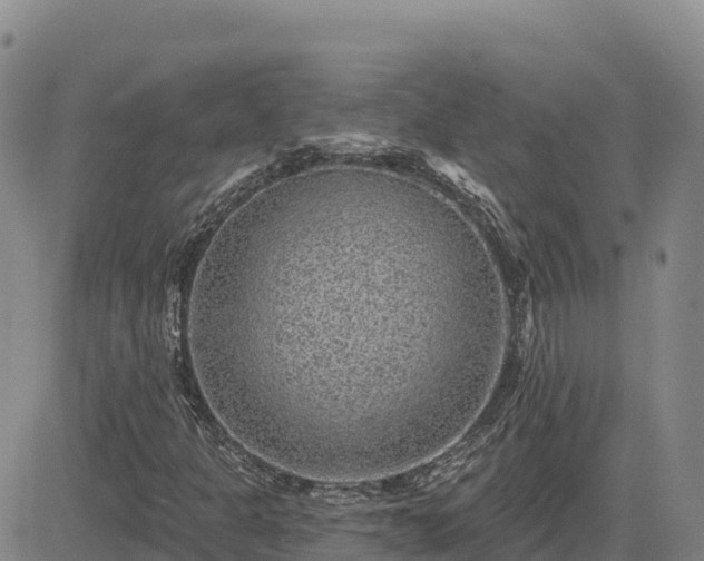 X0000084601301200703021614