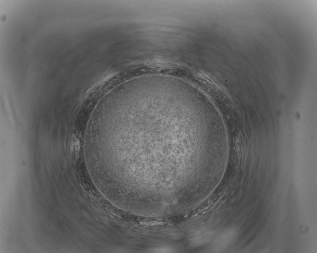 X0000084601302200703021614