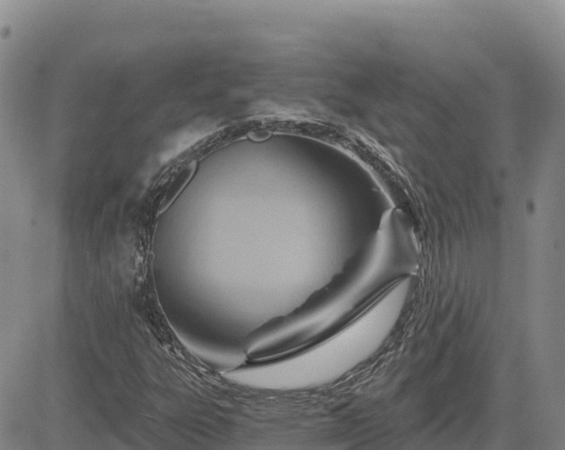 X0000084601303200703021614