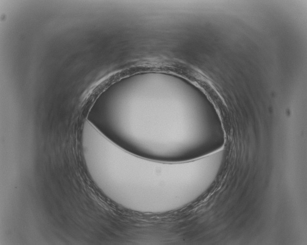 X0000084601304200703021614