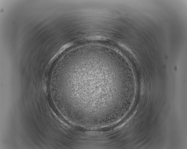 X0000084601305200703021614