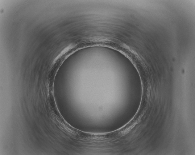 X0000084601306200703021614