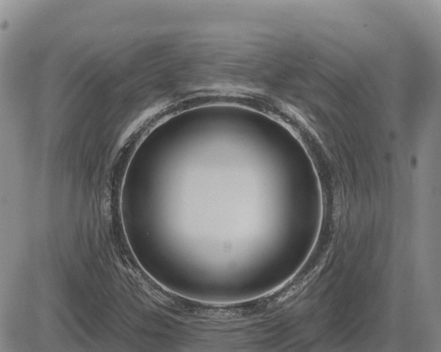 X0000084601307200703021614