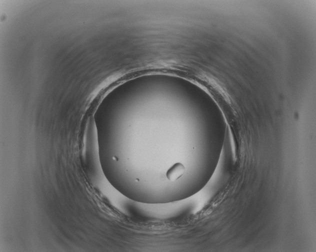 X0000084601308200703021614