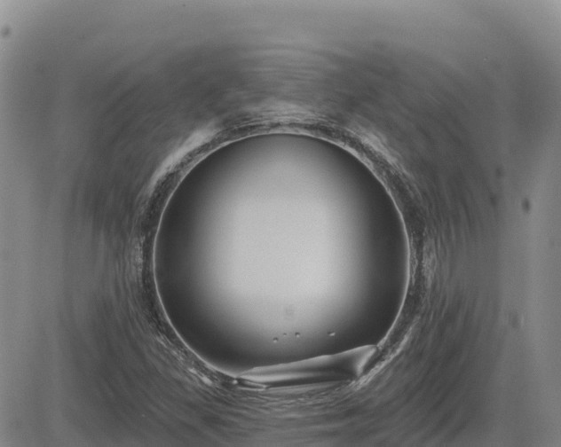 X0000084601309200703021614