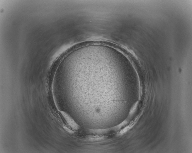 X0000084601311200703021614