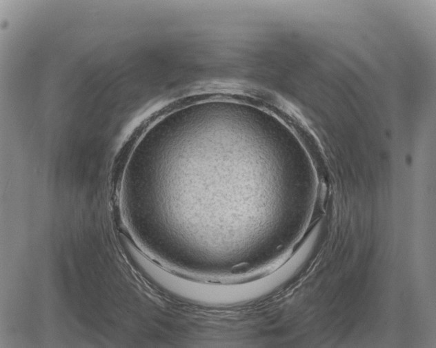 X0000084601312200703021614