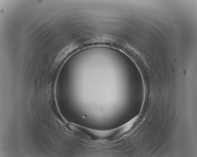 X0000084601313200703021615