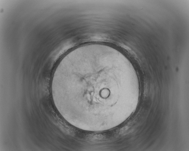 X0000084601314200703021615