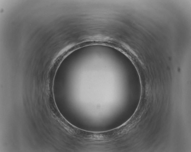 X0000084601315200703021615